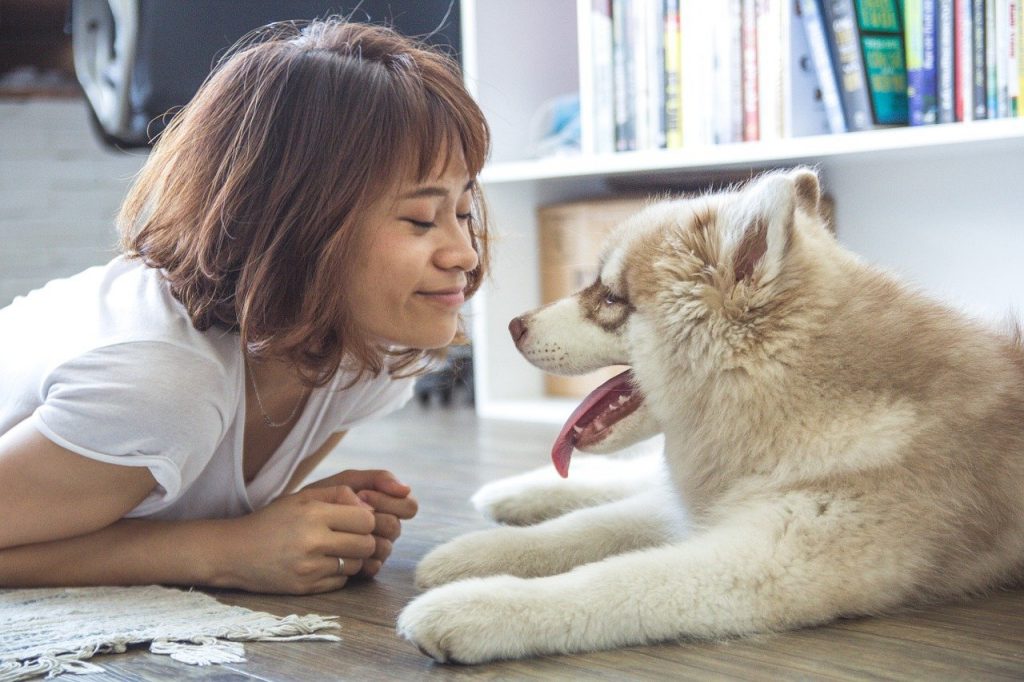 Therapietiere Wie sich Tiere auf die Psyche auswirken können